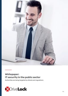 Whitepaper It Security in the public sector
