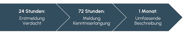 Meldepflichten NIS 2