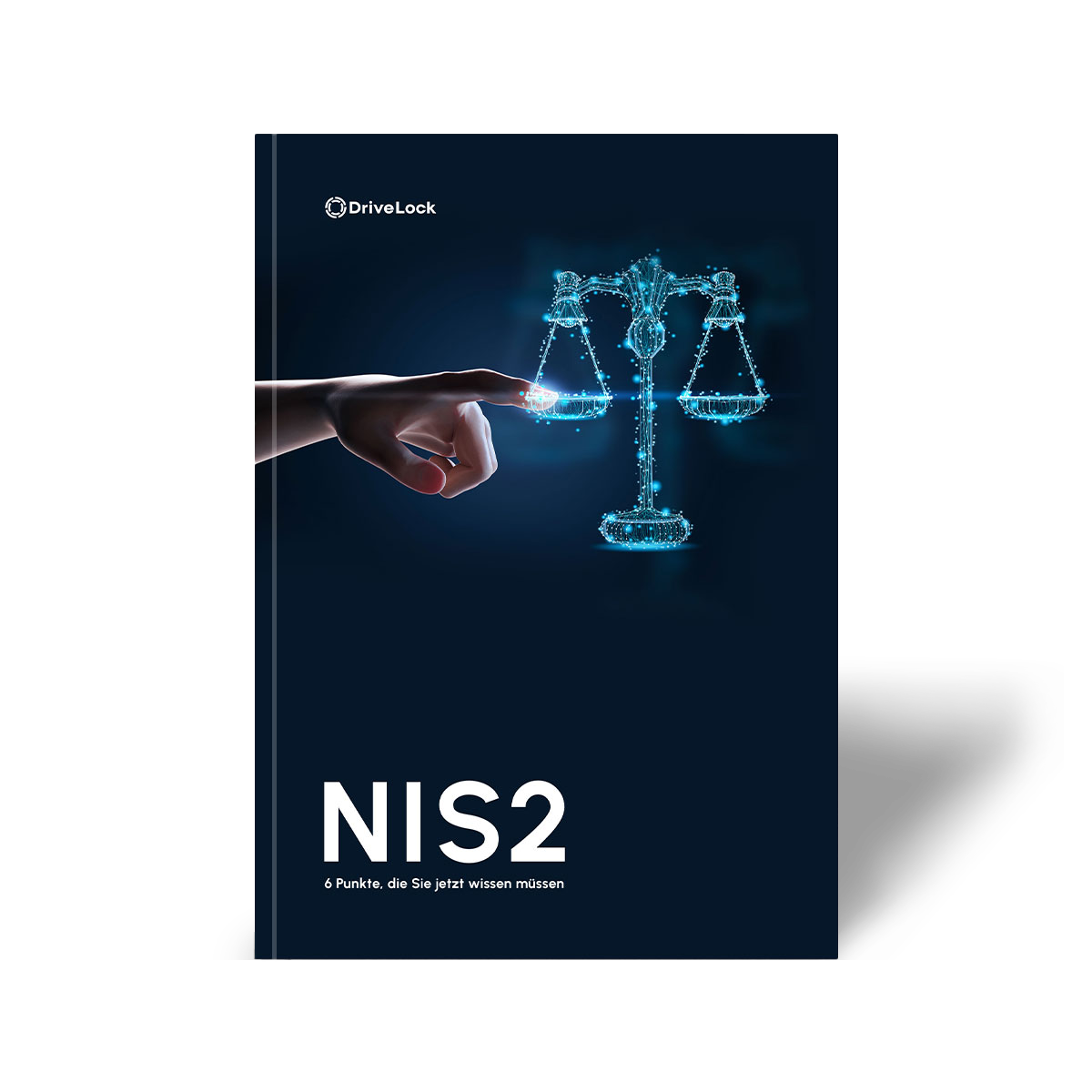 Drivelfock_NIS2-Whitepaper