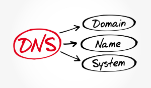dns graph