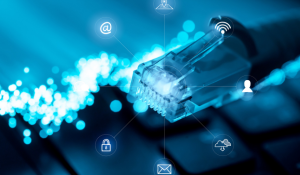 Introduction to the Tor Network: security and privacy