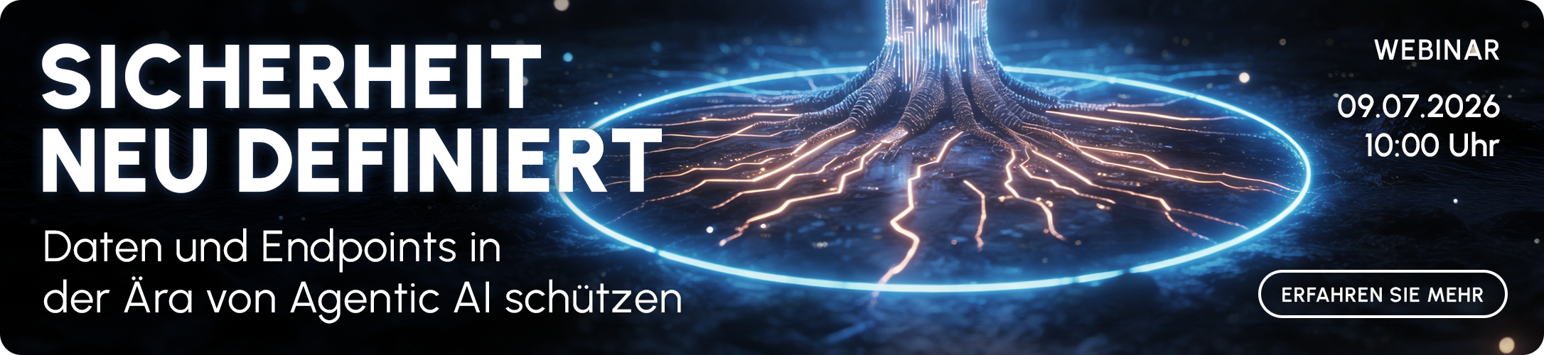 260526_Webstoerer_Webinar_Fuchs_Schwalm_Agentic_AI_Control_DE
