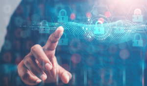 Vergleich: Hardware-Firewall gegen Software-Firewall