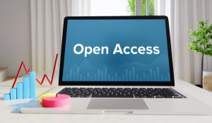 Die Grundpfeiler des Open Webs verstehen